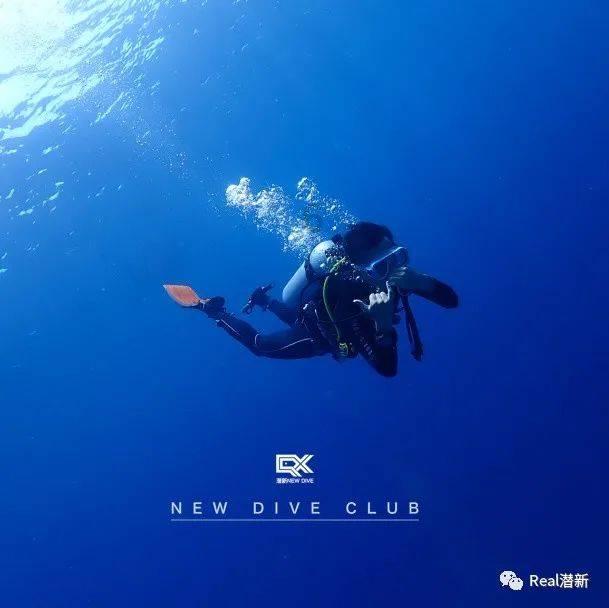 坦克大乱斗